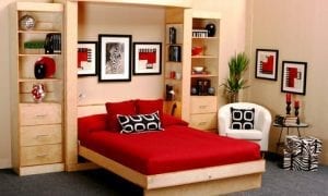 Euro-Deluxe-Wall-Bed-Murphy-Bed-Hidden-Bed-shown-Closed