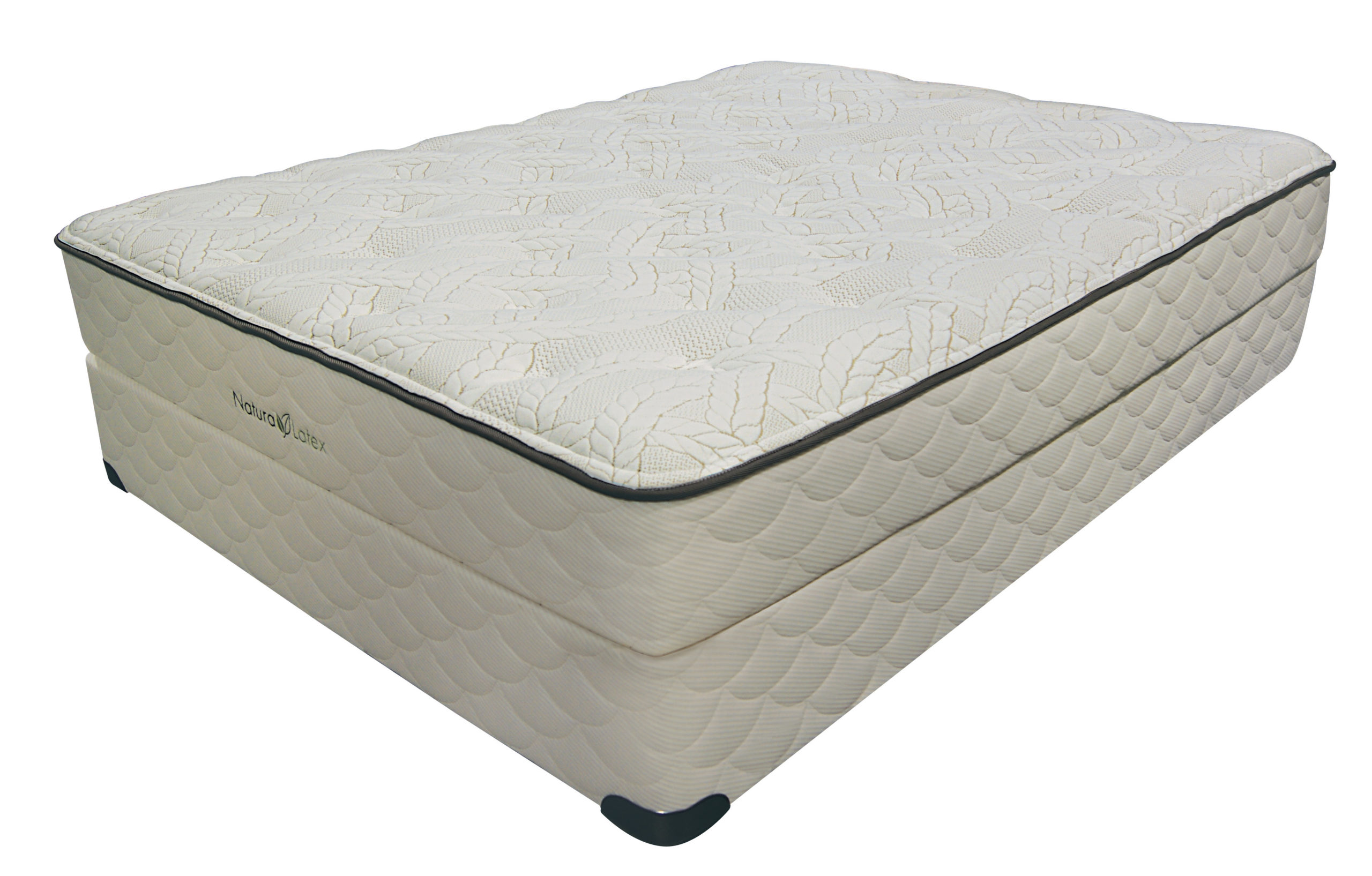 vanessa plush talalay latex mattress