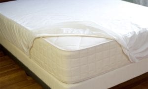 Naturepedic-organic-mattress-protector