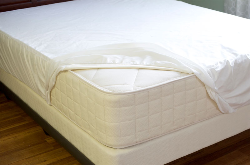 organic mattress protector full