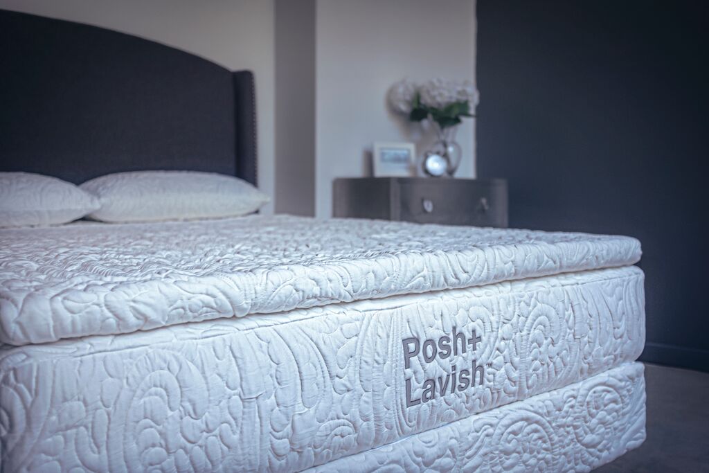 ergo contour pillow top latex mattress