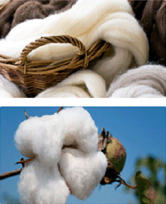 organic wool and cotton in basket