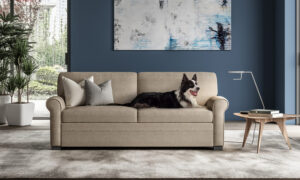 gaines-sofa-sleeper-closed-by-american-leather