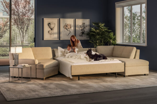 gaines-sofa-sleeper-sectional-by-american-leather